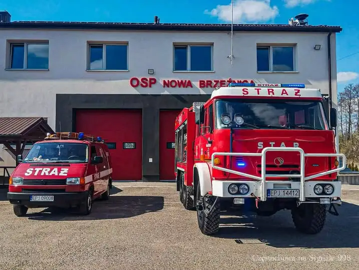 Powalone drzewo na drodze DW483 – interwencja strażaków z Nowej Brzeźnicy