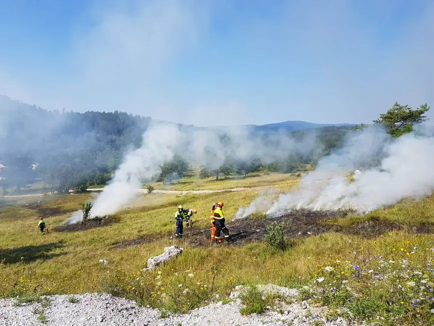 Pożar trawy w Bogatyni – interwencja strażaków