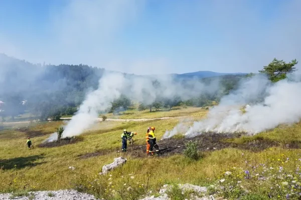 Pożar ścierniska w Strzelcach Wielkich – szybka akcja strażaków