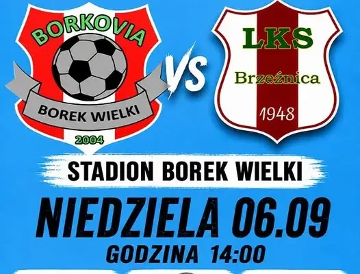 Zapowiedź meczu: Borkovia Borek Wielki podejmie rywala w niedzielę