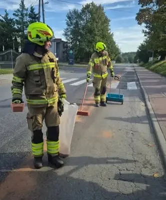 Plama ropopochodna na jezdni w Sulmierzycach — interwencja strażaków