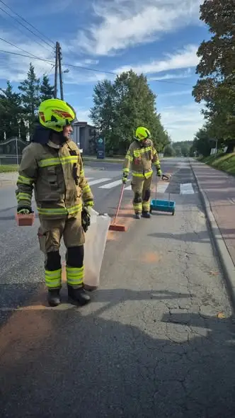 Plama ropopochodna na jezdni w Sulmierzycach — interwencja strażaków