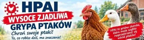 Grypa ptaków HPAI: Powiatowy Lekarz Weterynarii w Wieluniu ostrzega hodowców