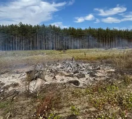 Siemkowice: Pożar od wypalanych gałęzi. Interweniowała OSP KSRG